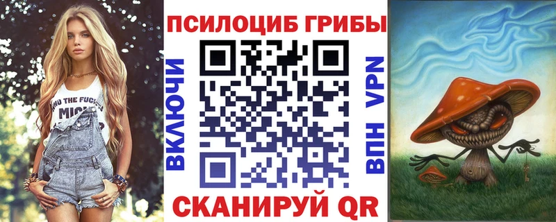 Псилоцибиновые грибы Cubensis  продажа наркотиков  Большой Камень 